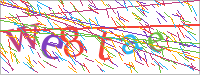 generic image