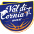 logo Valdicornia Basket
